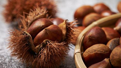 Castagne-1
