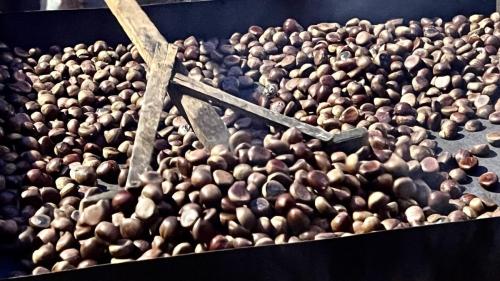 Castagne-2