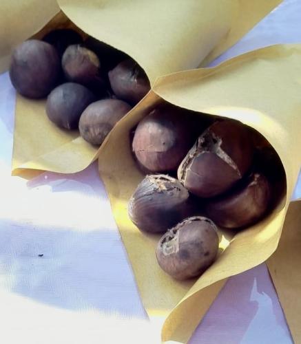 Castagne-3